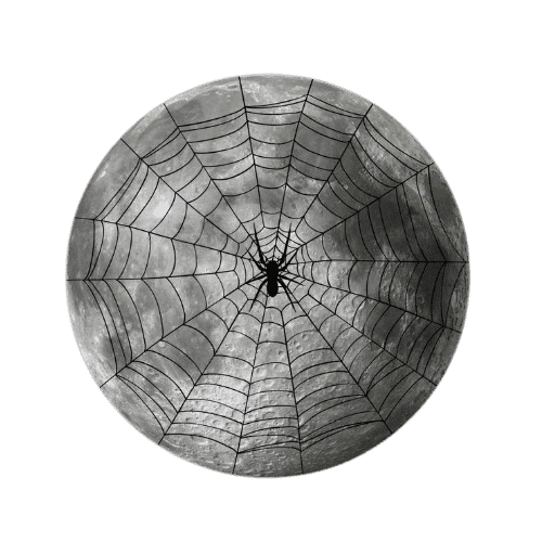 MoonMedia Creative Team - Professional Website Maintenance Specialists